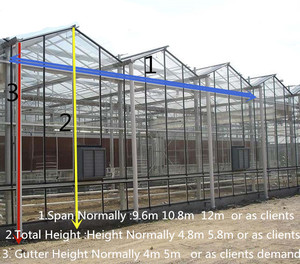 Invernadero de policarbonato para <span class=keywords><strong>PC</strong></span> con energía solar pasiva a la venta - Product Image 4