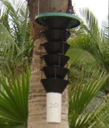 Trampa Multifuncional de Plástico para Control de Insectos, Atrapa Escarabajos de Palma Roja, Coleópteros - Product Image 6