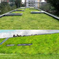 Plateau de plantation modulaire pour jardin sur toit en PP, système de toit vert avec auto-arrosage et drainage pour l'aménagement urbain et les toits inclinés
