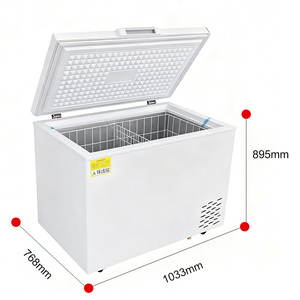 Congélateur de réfrigérateur à température unique à double usage domestique commercial 150L 250L 350L Capacités Congélation complète sans gel - Product Image 5