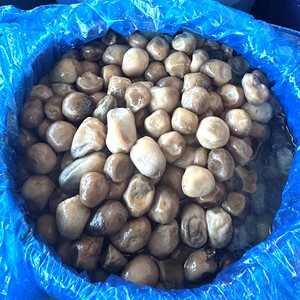 Trống đóng gói Nước muối toàn bộ rơm nấm Muối nội dung 20-22% đường kính khác nhau, từ 2 đến 2.5 cm - Product Image 1