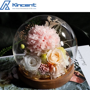 Clavel Eterno Natural, Rosa Inmortal, Decoraciones <span class=keywords><strong>de</strong></span> Flores Reales, Regalos, <span class=keywords><strong>Rosas</strong></span> Eternas para Cumpleaños, Día <span class=keywords><strong>DE</strong></span> LA Madre - Product Image 2