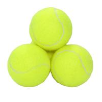 Nouvelle balle de tennis gonflable géante Newchance de 9,5 pouces, durable et personnalisable, idéale pour l'entraînement et le jeu des chiens, également adaptée au paddle.