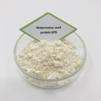 Extrait de graines de pastèque de haute qualité, extrait végétal naturel pur, poudre de protéines de graines de pastèque à 60% 70%