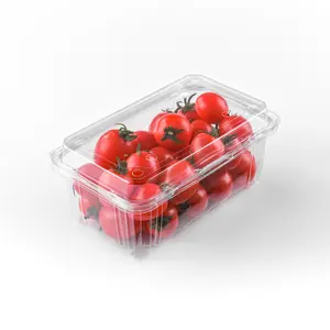 Kotak kemasan wadah buah pemotong segar kustom kotak kemasan tomat buah ceri plastik sekali pakai