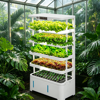 Armoire de culture hydroponique intelligente pour plantes d'intérieur, simulation d'environnement intérieur, contrôle adaptatif au climat, plantation toutes saisons