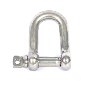 Factory Direct Sale M38High Quality Polished Screw Pin Forged Hot Forged D Shackle