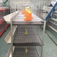 Offre Spéciale : Équipement Agricole – Système de Cage à Poulets de Chair Galvanisé Type H pour Fermes en Climat Tropical Africain