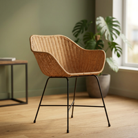 Chaise de jardin classique et naturelle, siège de détente, chaise d'hôtel en acier mélangé, rotin et rotin, tissage de fitrit d'inindonésie