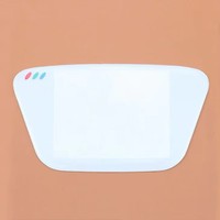 Couverture d'écran en plastique de remplacement pour Sega Game Gear GG