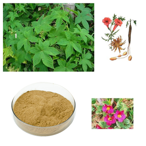 Factory Supply High Quality <strong>Extract</strong> <strong>Devil's</strong> <strong>Claw</strong> <strong>Extract</strong> Harpagoside <strong>5</strong>% <strong>Devil's</strong> <strong>Claw</strong> <strong>Extract</strong> <strong>Devil's</strong> <strong>Claw</strong> Powder - Product Image 3