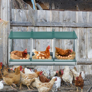 Nuevas Cajas de Nidificación de Acero Galvanizado Automáticas de 3 Compartimentos, Caja de Nidificación Metálica para Gallinas, Alta Productividad, 98% de Tasa de Incubación - Product Image 3