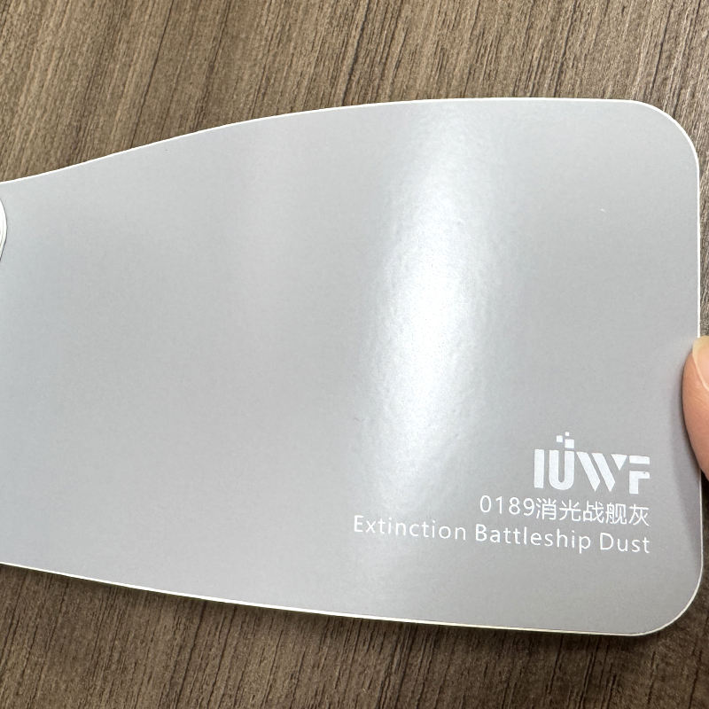 0189 Extinction Cuirassé Poussière