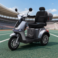 Scooter de mobilité pour personnes âgées, batterie amovible 30AH, charge 200kg, conduite électronique facile, sécurité, 25KM/H, moteur 1000W