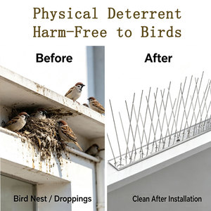 Piques <span class=keywords><strong>anti</strong></span>-oiseaux en acier inoxydable massif, dissuasives contre les pigeons, durables, résistantes aux intempéries, <span class=keywords><strong>pour</strong></span> la protection des toits, des clôtures et des murs, OEM ODM - Product Image 2