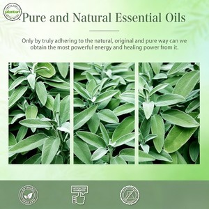 Olio <span class=keywords><strong>Essenziale</strong></span> di Eucalipto Puro al 100% per il <span class=keywords><strong>Benessere</strong></span>, Fragranza Fresca, per Tutti i Tipi di Pelle, Olio Vettore Biologico all'Ingrosso - Novità 2026 - Product Image 6