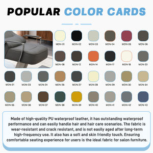 เฟอร์นิเจอร์<span class=keywords><strong>ร้าน</strong></span>ตัดผม <span class=keywords><strong>ร้าน</strong></span>เสริมสวย เตียงสระผม สปาผม เตียงสระผมแบบไทย โต๊ะนวดสปาผม เตียงสระผมพร้อมอ่างเซรามิก - Product Image 5