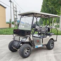 Voiturette de golf électrique tout-terrain homologuée pour la route, 3 ou 4 places, batterie lithium 48V, solaire