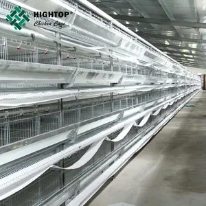 Automatic Professional Standard automatic chicken layer cage system for poultry farm system