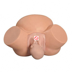 Modèle de livraison de sciences médicales grossesse enfant naissance simulateur d'enseignement formation obstétricale mannequin de livraison anatomique