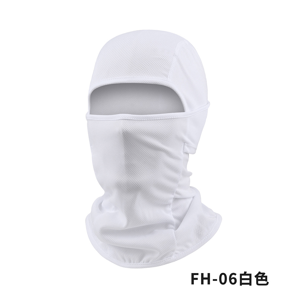 FH-06 white