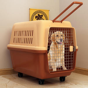 Cage <span class=keywords><strong>de</strong></span> <span class=keywords><strong>transport</strong></span> XL en plastique écologique pour chiens – Livraison en 3 jours – Style extérieur - Product Image 5