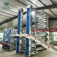 Équipement d'élevage avicole, cage à poules de type H, système de collecte automatique des œufs, cages à poules à vendre