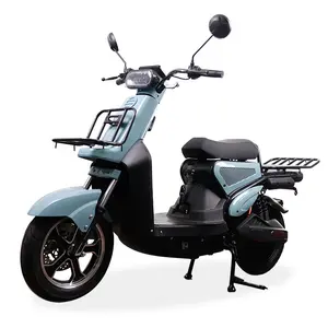 Moto Electrica 스쿠터 전기 승인되는 강력한 오토바이/환경 전기 차량/voiture electrique adulte