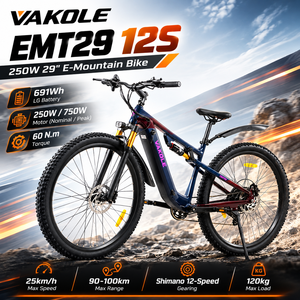Vélo de route électrique Vakole EMT29 12S, livraison rapide, 29 pouces, moteur 250W, 750W de pointe, batterie LG 48V, 12 vitesses - Product Image 1
