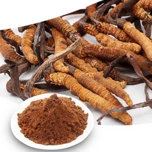 Fournisseur d'usine 40% de polysaccharide de cordyceps sinensis, extrait de cordyceps sauvage, prix