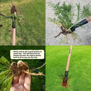 Outil de désherbage manuel à 4 griffes en acier inoxydable, extracteur de racines, outil de désherbage pour pelouse, jardin, économiseur de travail - Product Image 6