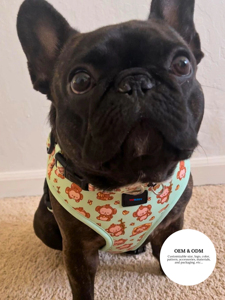 Paquete de 6 piezas personalizable de Monkey Bananas Dog con arnés, correa, <span class=keywords><strong>collar</strong></span>, pañuelo y soporte para bolsa de caca | <span class=keywords><strong>OEM</strong></span>/ODM Bienvenido - Product Image 2
