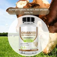 HDK OEM ODM Capsules de complexe d'organes de bœuf nourri à l'herbe 650mg Foie, Cœur et Rate déshydratés pour le soutien de l'équilibre de la santé