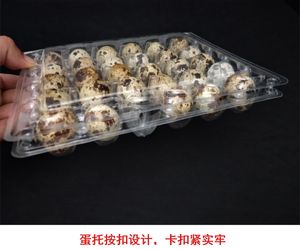 Plateau en plastique d'œufs de <span class=keywords><strong>caille</strong></span>, 10/12 oeufs, en carton, <span class=keywords><strong>jumbo</strong></span>, très large - Product Image 3