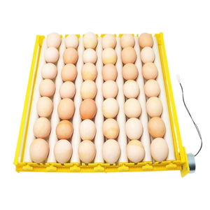Incubateur entièrement <span class=keywords><strong>automatique</strong></span> compact, <span class=keywords><strong>fiable</strong></span> et durable pour œufs de poule, de canard et de caille, avec plateaux en PP - Product Image 6