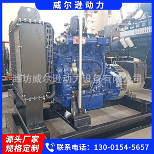 Grupo Electrógeno de Gas Weifang de 30kW, Equipo de Energía con Motor de Gas Natural y Biogás - Product Image 5