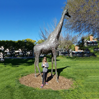 Statue de girafe en métal de grande taille de 3 m de haut pour la décoration de jardin à vendre