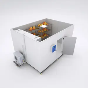 Contenitore modulare della cella frigorifera del dispositivo di raffreddamento del refrigeratore di verdure del congelatore industriale Walk In