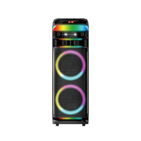 Haut-parleur portable de karaoké Bluetooth 100W RMS avec double woofer de 10 pouces, lumière RGB, batterie 11.1V 9000mAh et 2 micros sans fil