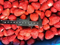 Beste Prijs Iqf Biologische Bevroren Aardbeien Nieuw Seizoen Versheid Hoge Kwaliteit Bevroren Fruit