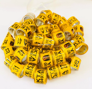 2020 Postduif Loft - Product Image 1