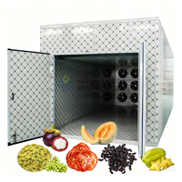 Gas Fruit- en Groentedroger Tomat Blauwe Bes Lychee Rozijn Meloen Mangosteen Sterfruits Droogmachine