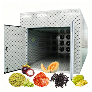 Secadora <span class=keywords><strong>de</strong></span> Frutas y Verduras a Gas, Máquina <span class=keywords><strong>de</strong></span> Secado para Tomate, Arándano, Lichi, Pasas, Melón, Mangostán, Starfruit - Product Image 1