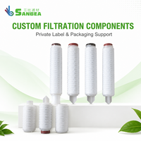 Cartouche de filtration d'eau personnalisée avec options d'extrémité pointue, d'extrémité plate et d'anneau d'étanchéité pour les fabricants d'équipements