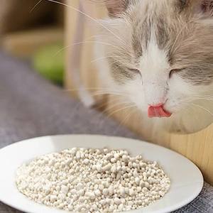 Litière pour chat en manioc à bas <span class=keywords><strong>prix</strong></span>, facile à nettoyer, agglomérante, 10 l, forte absorption des odeurs, écologique, litière pour chat en maïs - Product Image 4