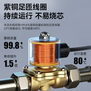 Válvula Solenoide de Cobre Normalmente Cerrada para Suministro de Agua, Uso en Exteriores, con Diafragma de Acero Inoxidable - Product Image 4