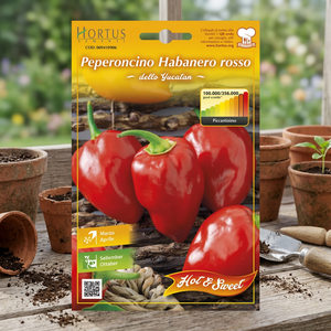 Semi Orto Peperoncino Habanero Rojo - Product Image 2