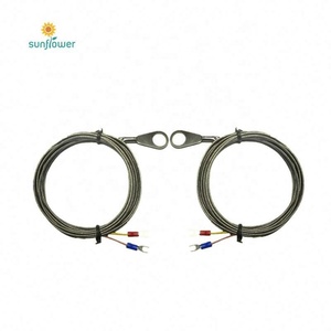 カスタマイズされたベアリング温度センサーPT100 - Product Image 3