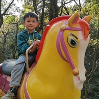 Ventes directes d'usine Promenade à cheval sur les jouets Simulateur Kiddie Ride Équipement de terrain de jeu