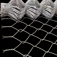 Malla de Alambre Galvanizada por Inmersión en Caliente, 1.8-3.8mm, 60x60mm, 0.6-6m de Altura, Resistente a la Corrosión, para Aislamiento de Carreteras y Ferrocarriles, Venta al Por Mayor